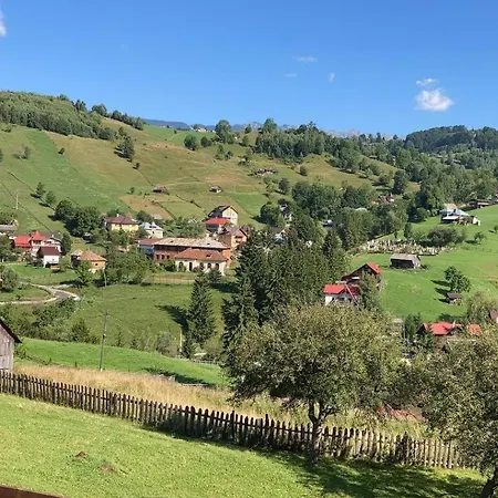 A Hunter's * Dîmbovicioara