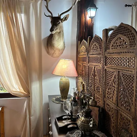 A Hunter's * Dîmbovicioara
