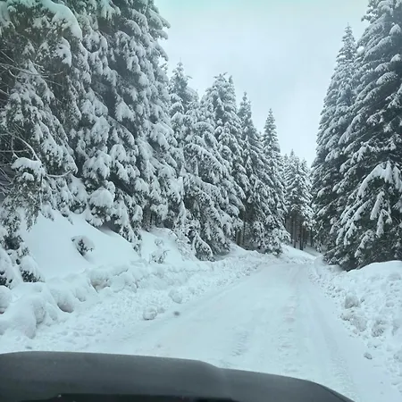 Alpstuga A Hunter's Dîmbovicioara
